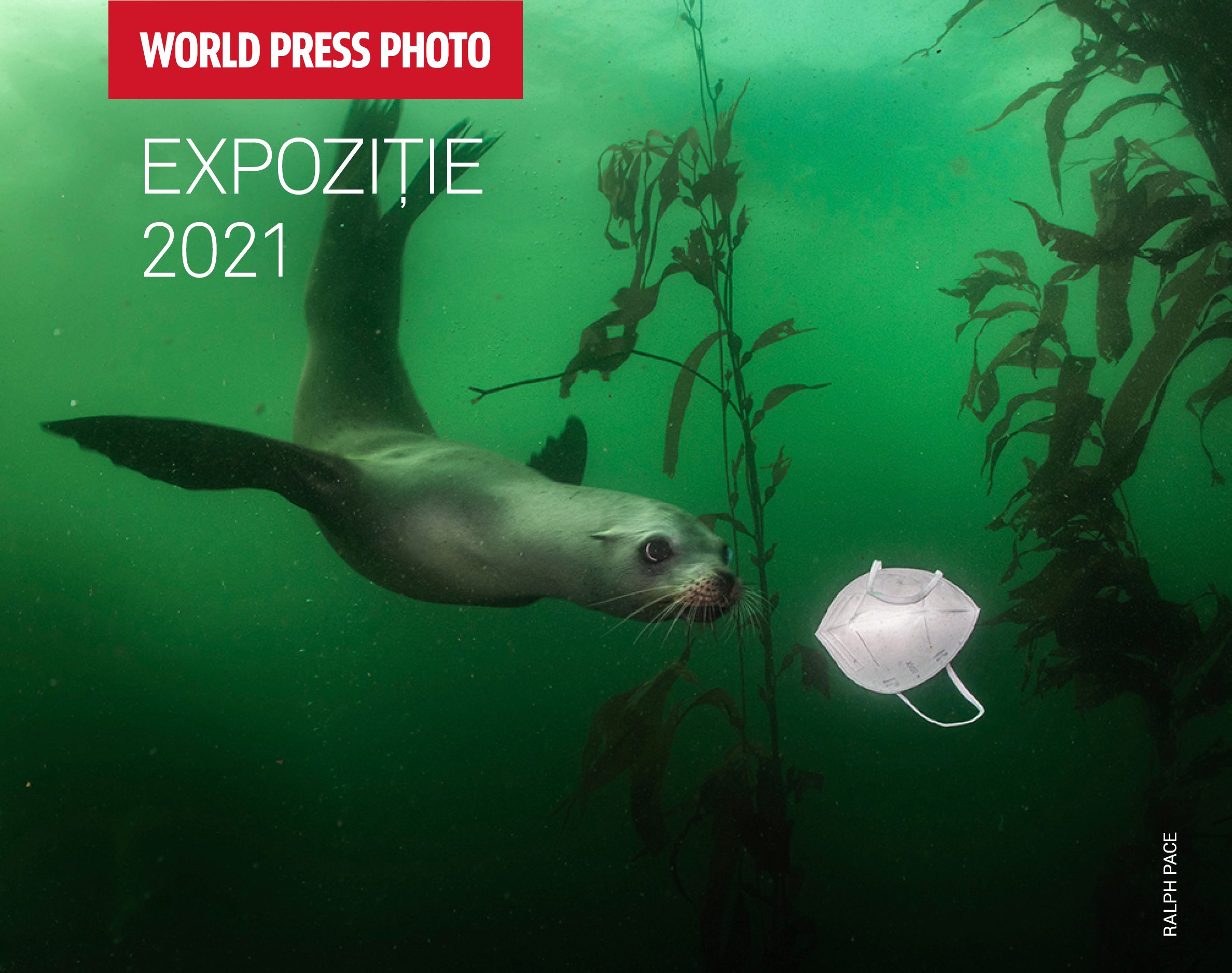 WPPh2021_EXHIBITION_CJI-2