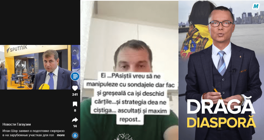 Rolul diasporei vestice